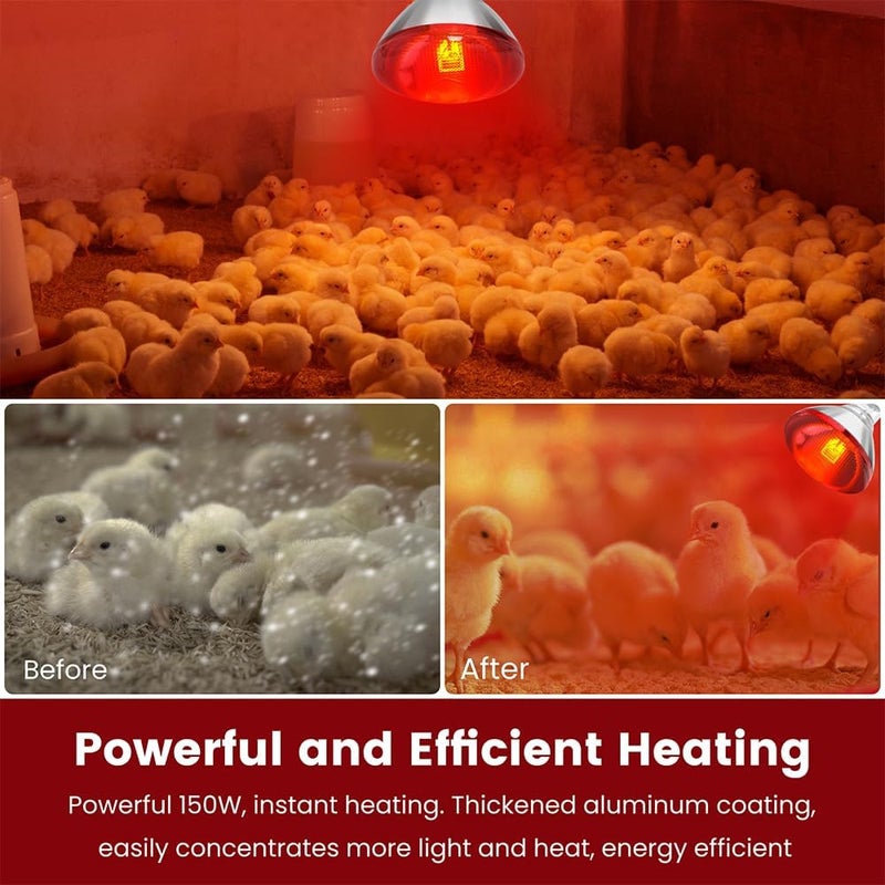 DATOO Infrared Heat Lamp Bulb for Chickens Red Heat Lamp Flood Light Heat Lamp Bulb 150 W Heating Bulbs for Brooder Coops Pets Chicks Reptiles Food Service (2 Pack) - Image 3